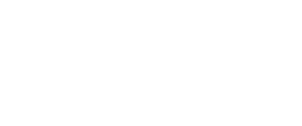 Viterma-Franchise-Focus-Online-Logo